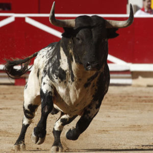 La libertad de ser taurino