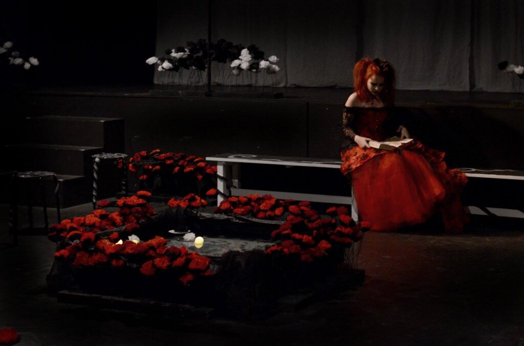 Doña Rosita la soltera o el lenguaje de las flores, crítica teatral